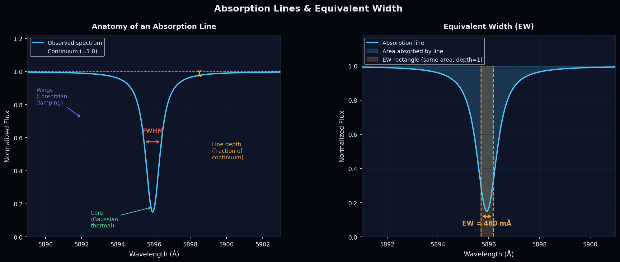 Anatomy of a single absorption line showing core, wings, depth, and FWHM; plus the equivalent width concept